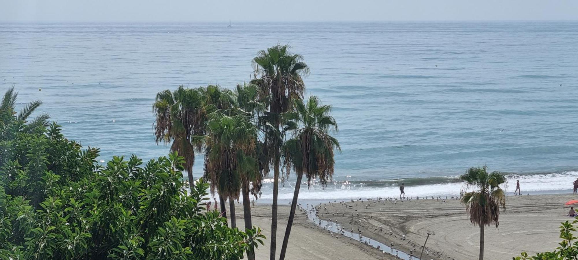 Apartamentos Real 81 Estepona Esterno foto